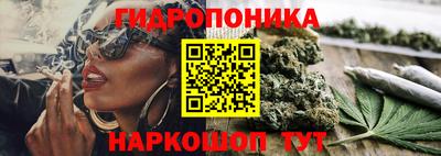 гашик Тулун