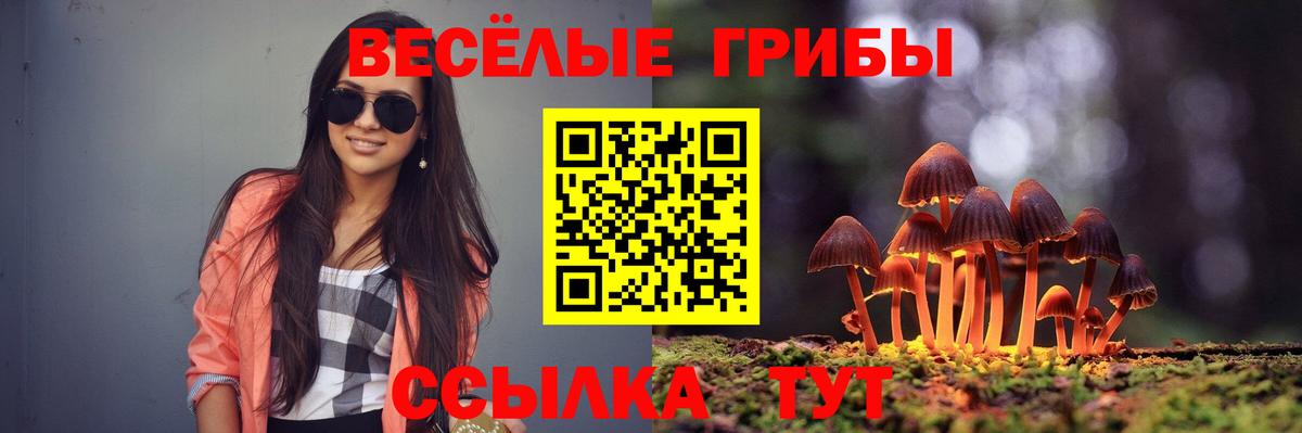 Богородицк  Псилоцибиновые грибы GOLDEN TEACHER  Вход с VPN  Галлюциногенные грибы прущие грибы 